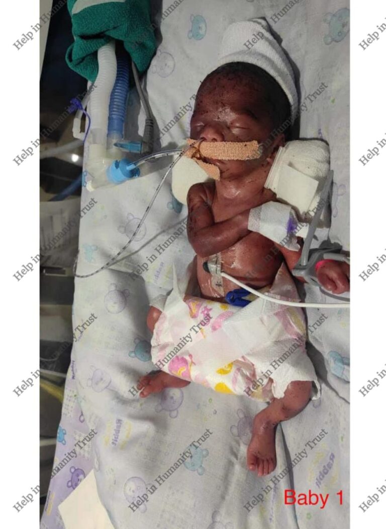 WhatsApp Image 2025-08-03 at 12.27.13