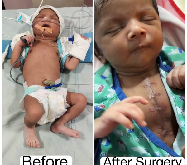 WhatsApp Image 2024-11-13 at 17.06.28